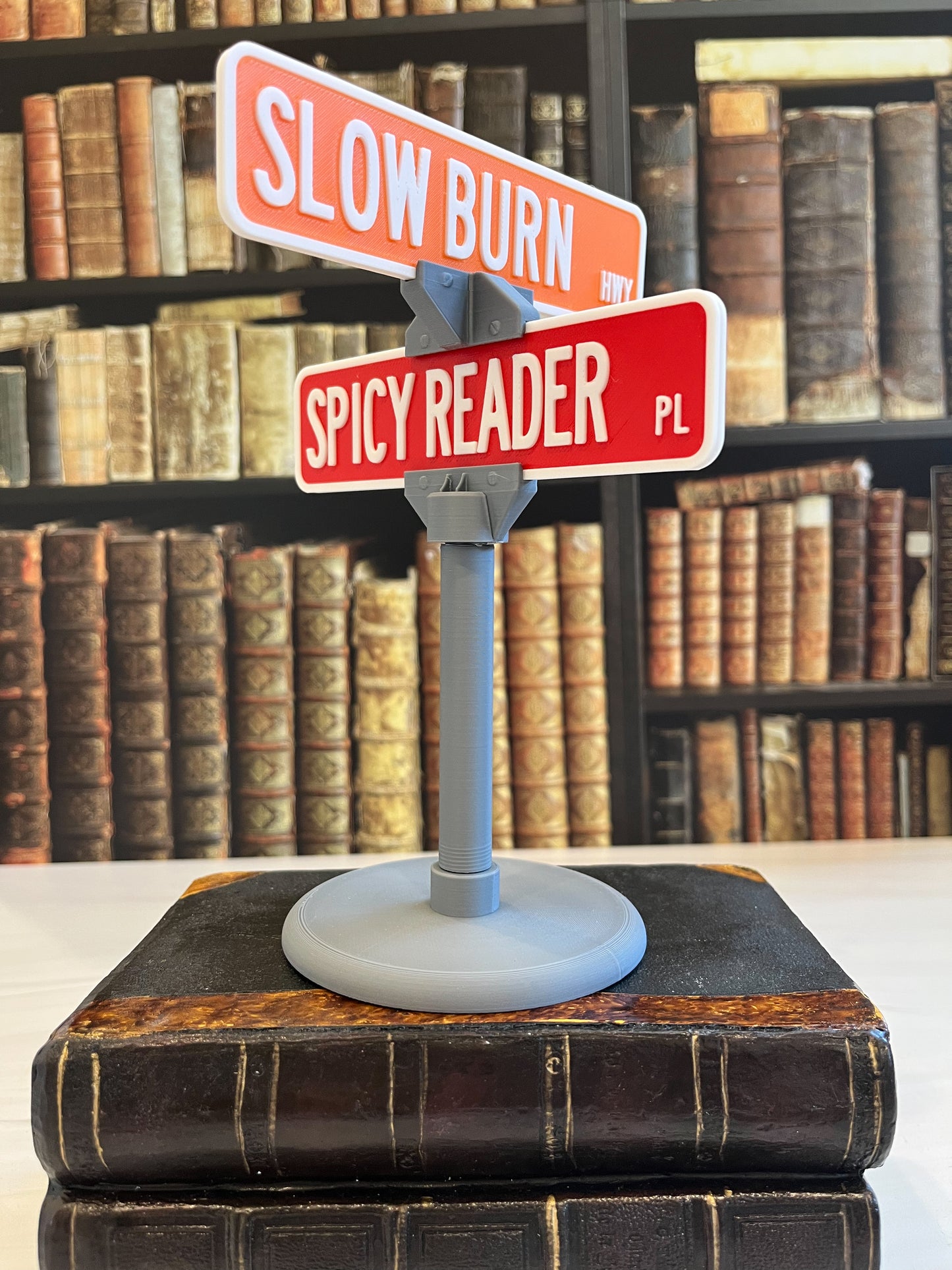 Slow Burn Highway / Spicy Reader Place Double Street Sign